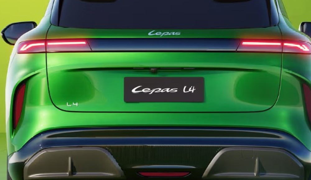 Lepas prowls Cape Met